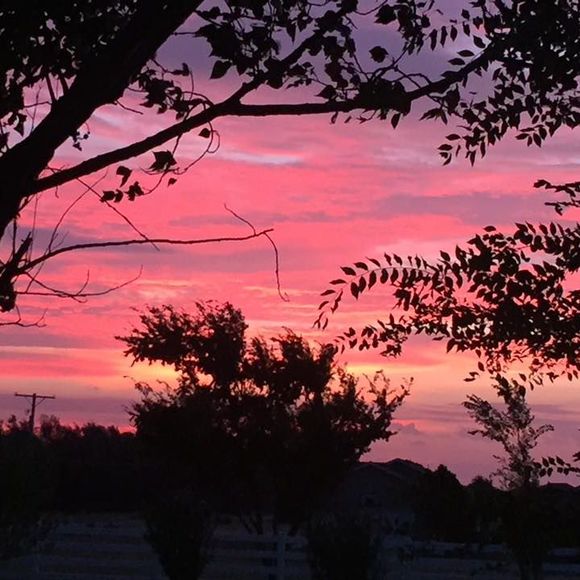 Meet your Posher, Stephanie - Picture 1 of 1